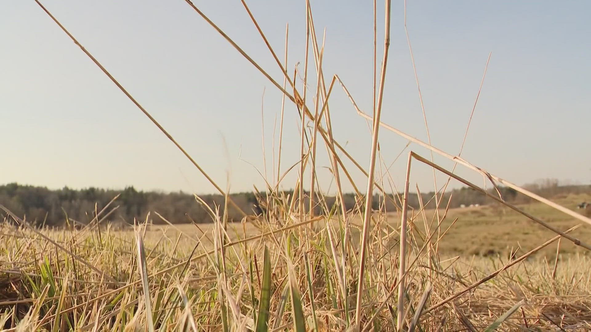 The $60 million PFAS fund will provide direct support to impacted farmers, from replacing lost wages to blood testing.