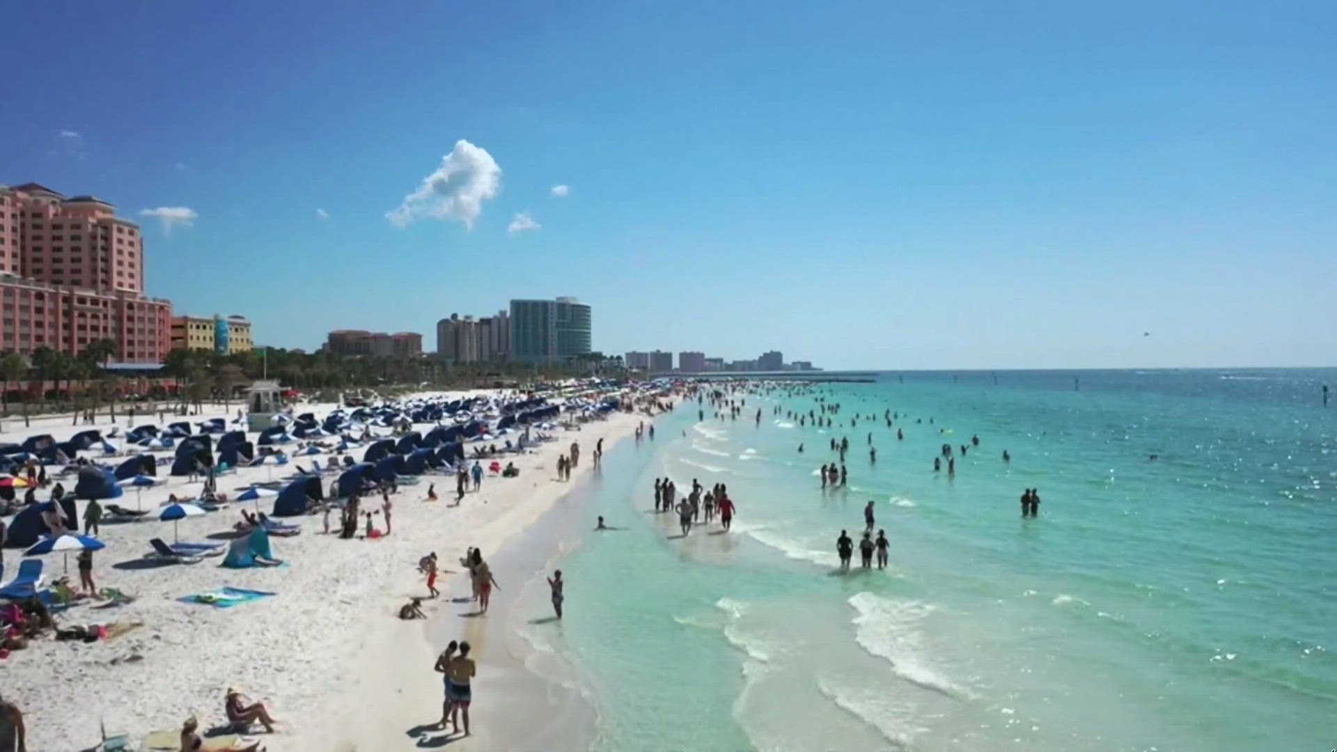 Summer Of Sharks Has Many Along The East Coast Changing Their Beach 