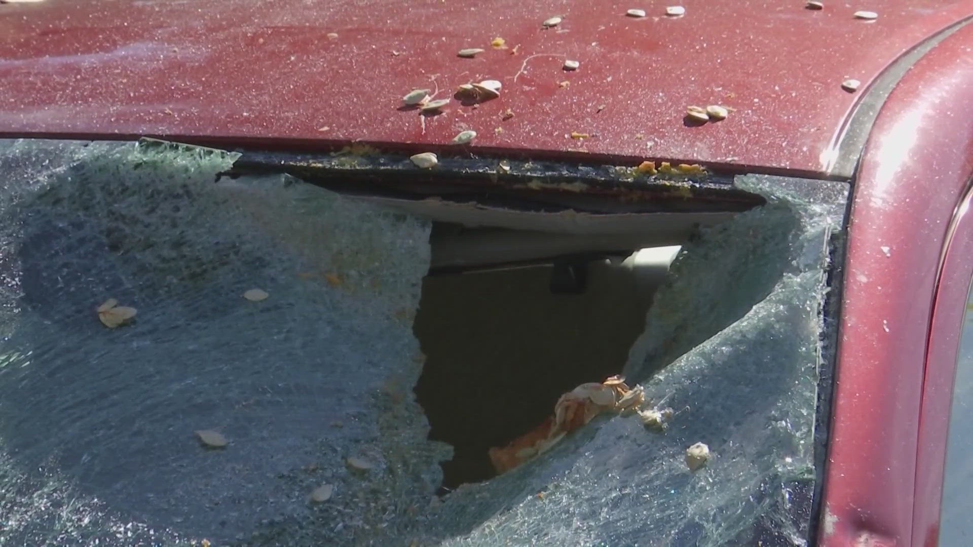 Dozens of cars are damaged in Massachusetts are damaged after someone apparently threw pumpkins at them over the weekend.