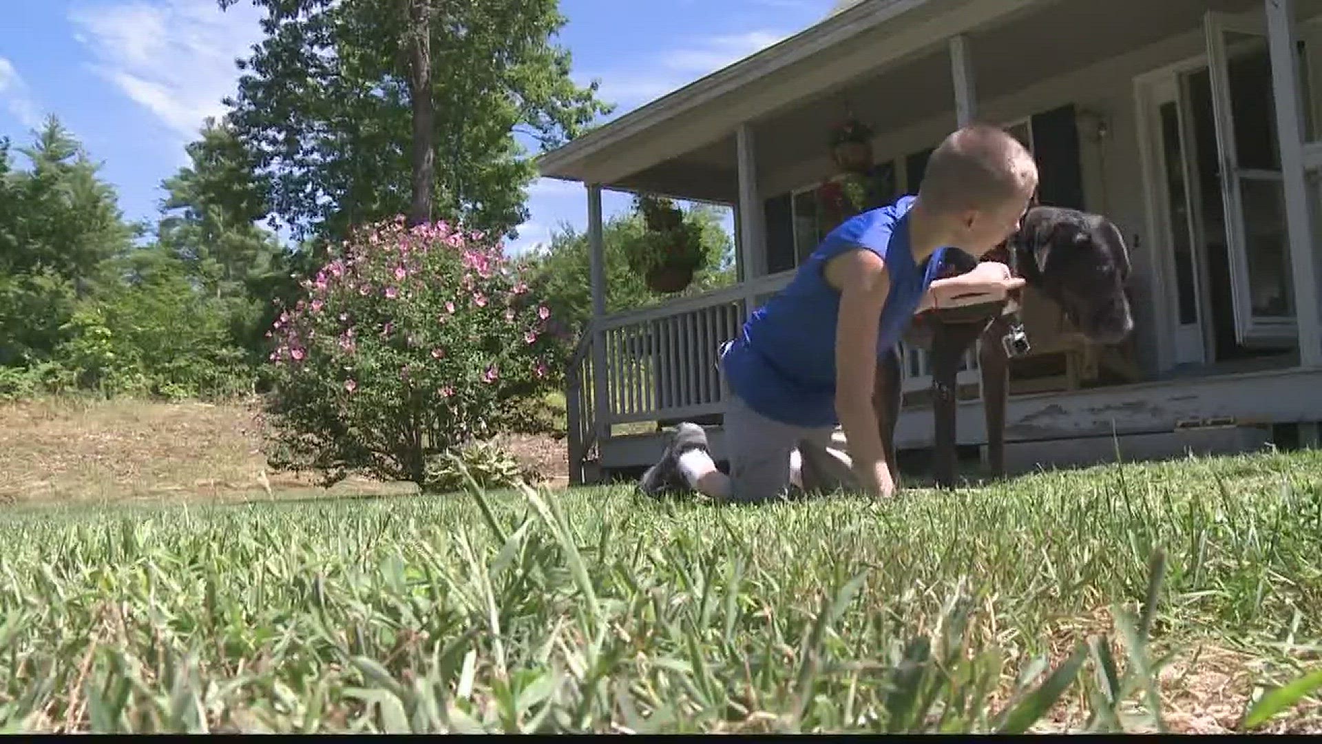 Boy with Cerebral Palsy relies on his service dog