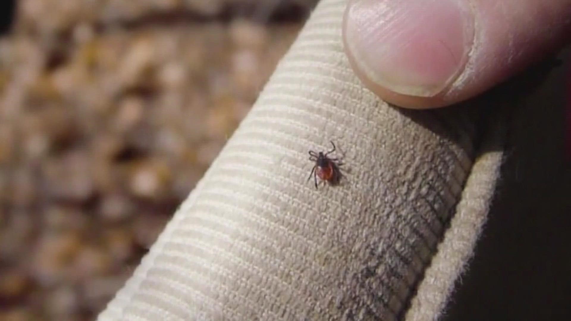 The decades-long study involved thousands of ticks collected from small mammals.