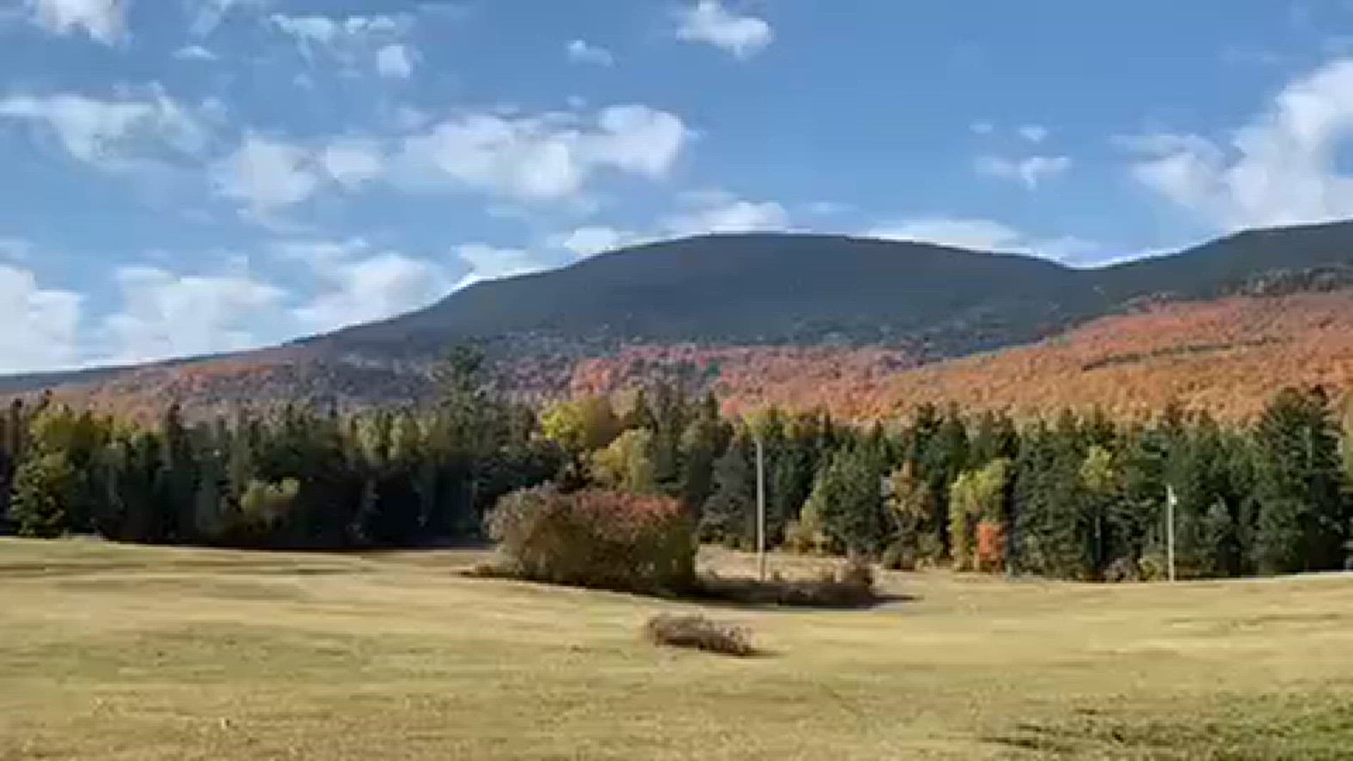 Filming the foliage on a windy day in Rangeley. The wind from my back was blowing milkweed seeds into view.
Credit: George Estabrook @themainepick