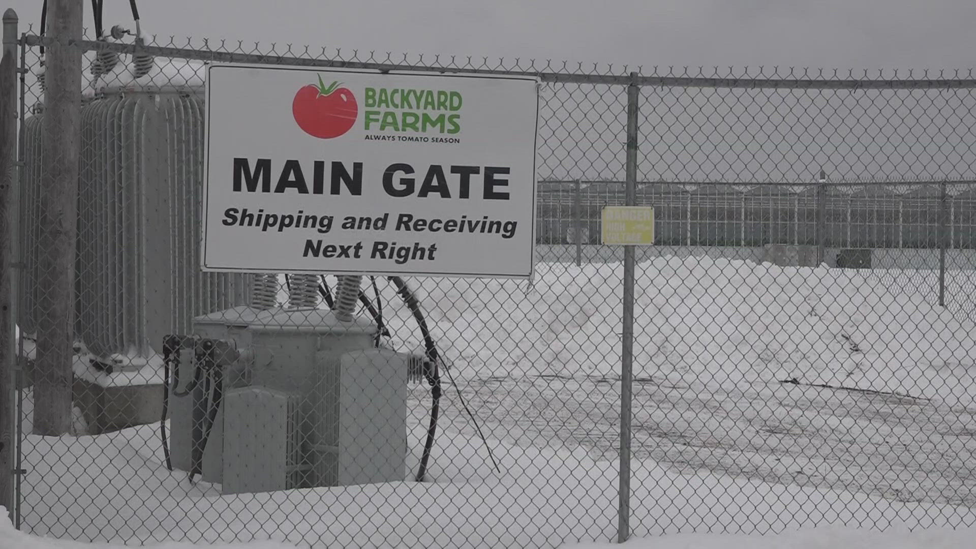 newscentermaine.com - Brianna Bush - Federal agents arrest up to 19 at Madison farm, sparking community aid efforts