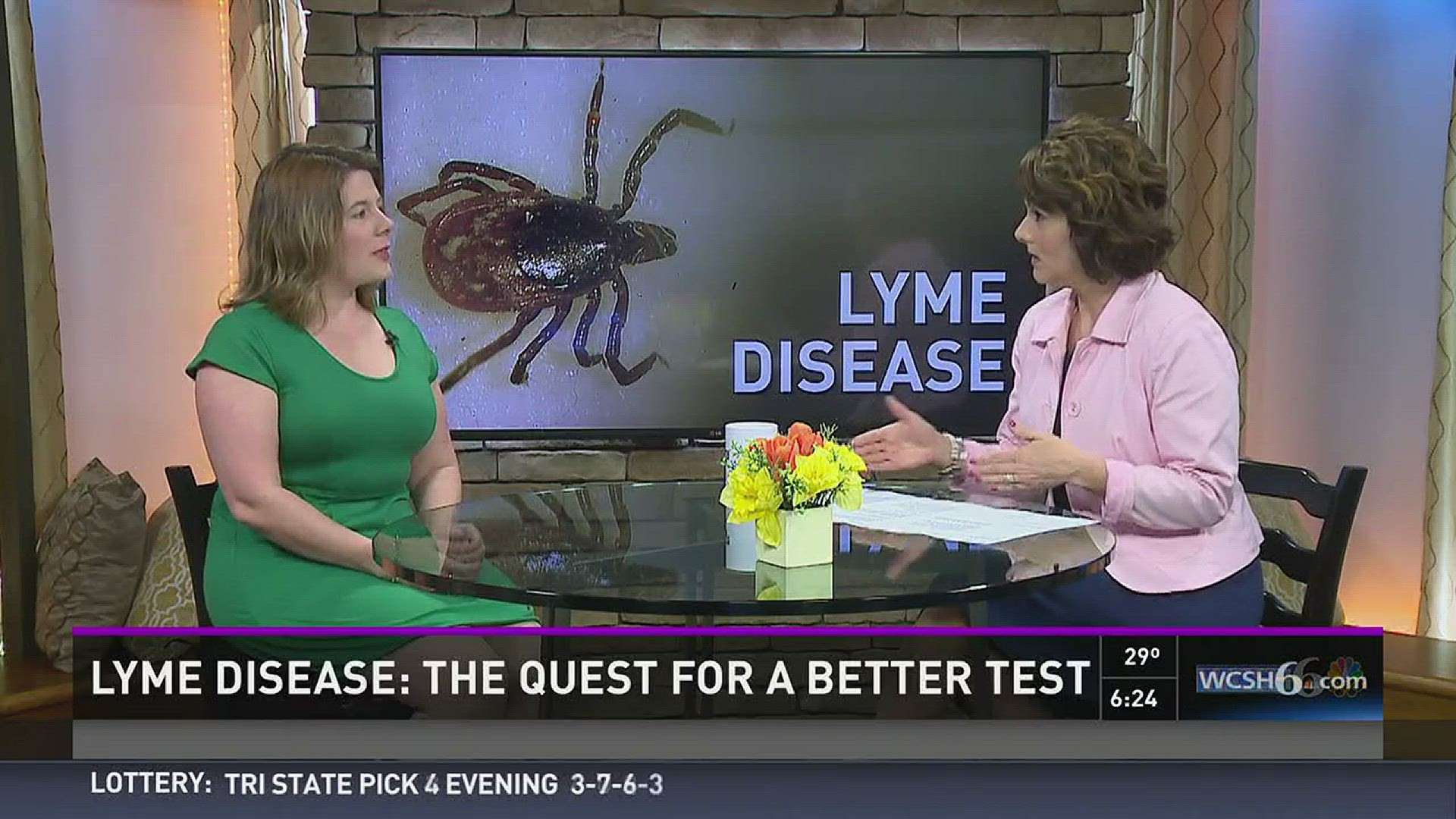 Lyme disease The quest for a better test