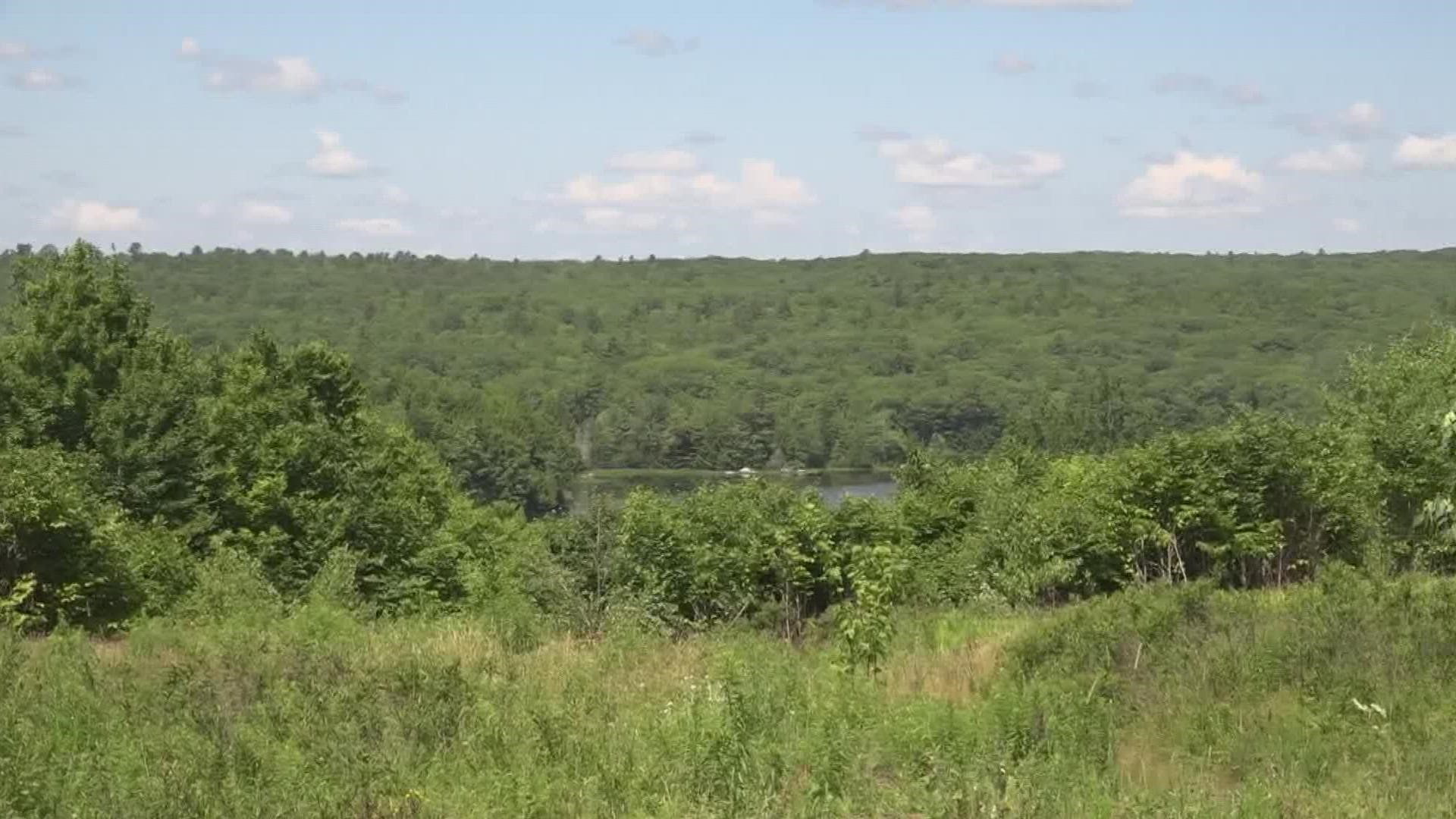 Nonprofit aims to preserve Orland land