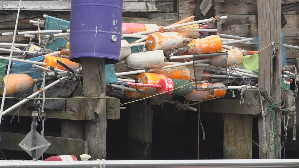Judge blocks lobster fishing closure off coast of Maine - Vimarsana News