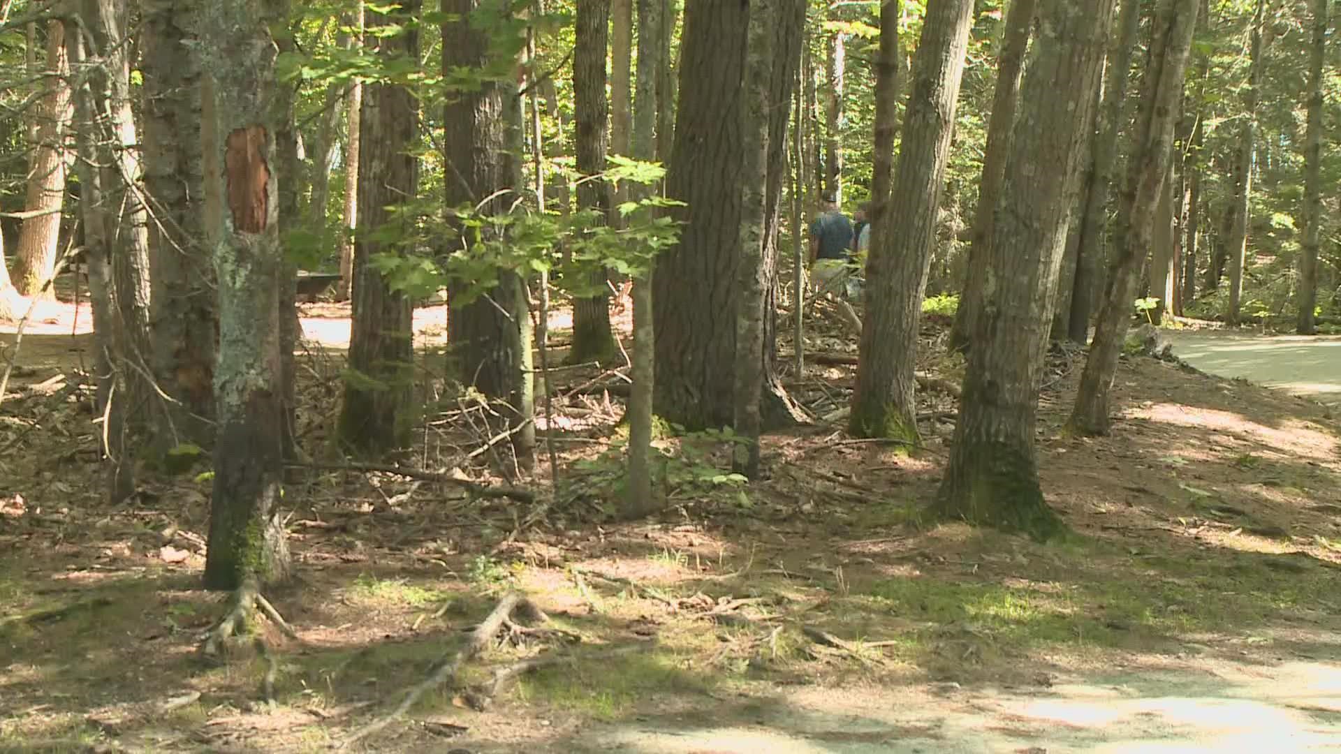 With more adult deer ticks emerge, Maine officials predict an explosion of Lyme disease