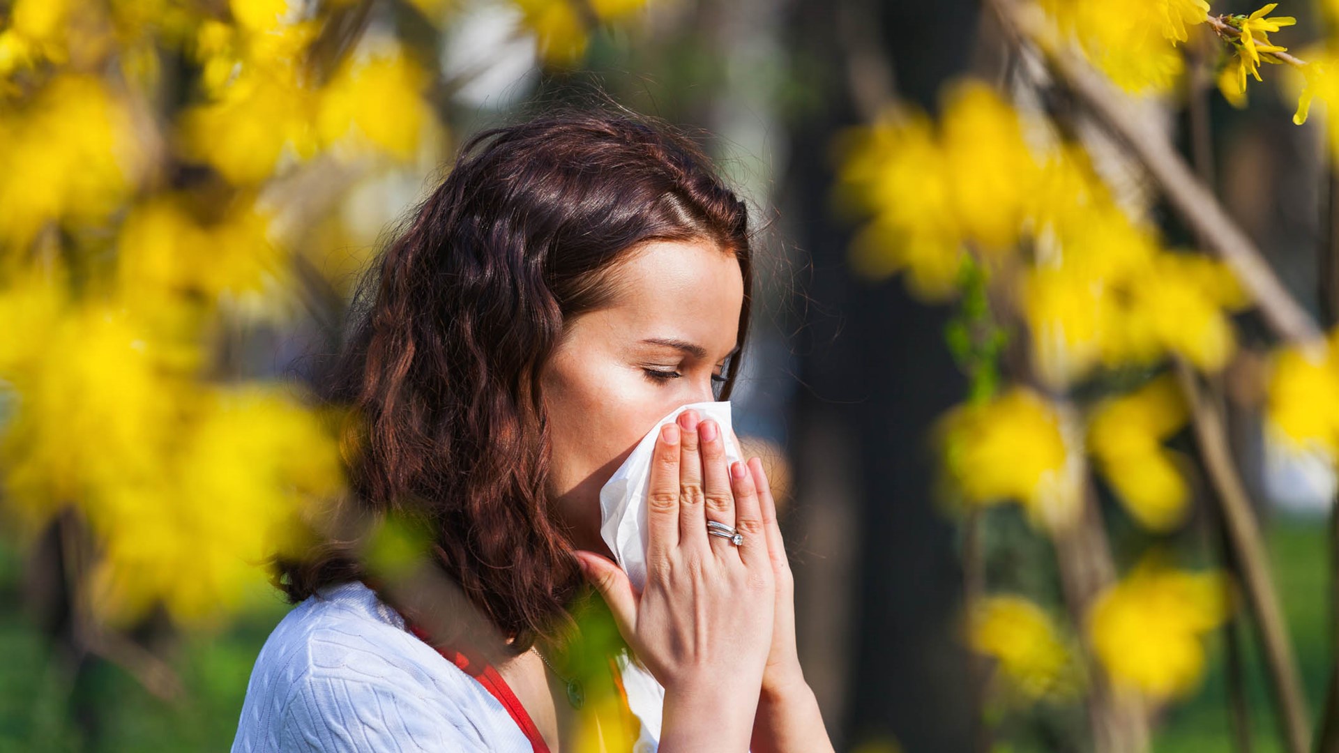 There's no denying pollen is in the air and covering surfaces with a yellow dust. Here's the latest on the season that allergy sufferers dread.