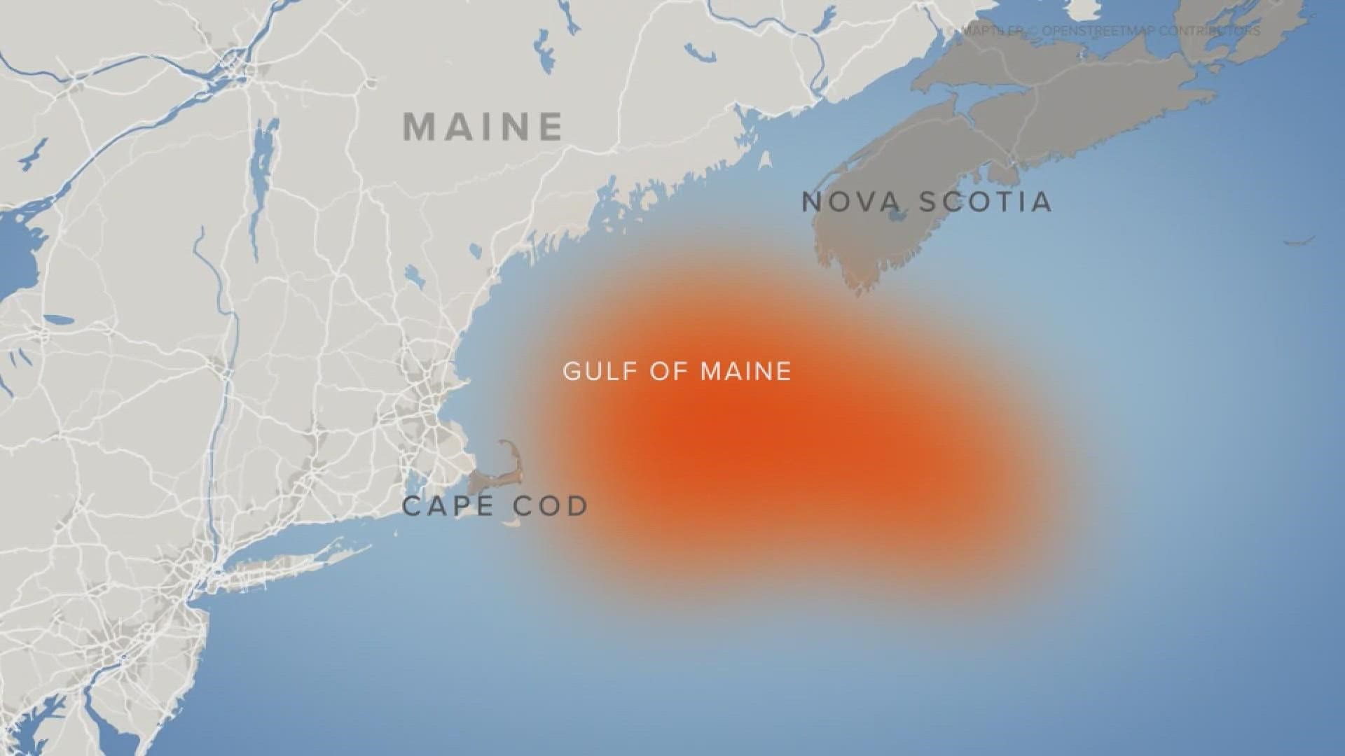 The water in the Gulf of Maine is warming faster than 96% of the world's oceans according to the Gulf of Maine Research Institute.