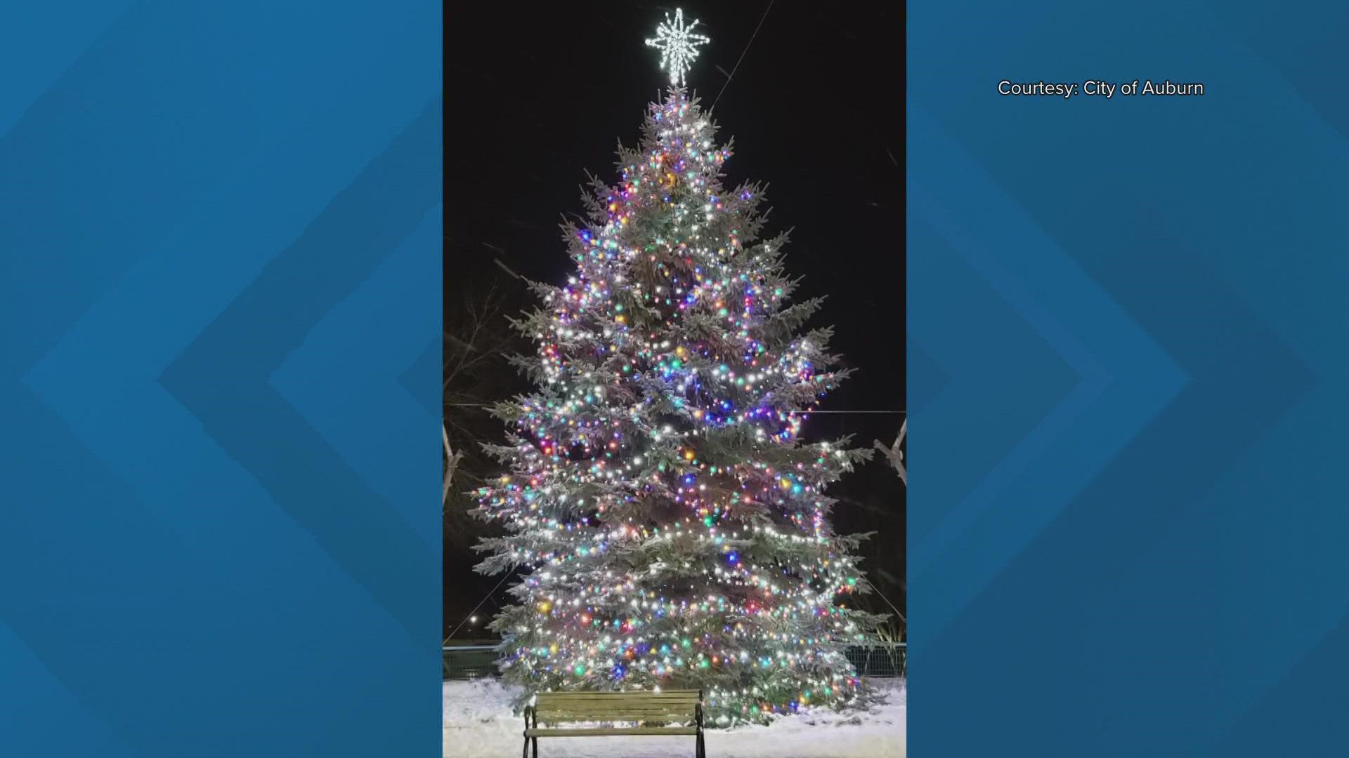 The city of Auburn put out a call Monday for a "beautiful tree" to use in the Festival Plaza this winter holiday season.