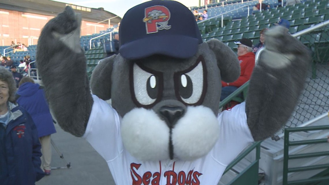 Portland Sea Dogs mascot, Slugger, races a young fan around the