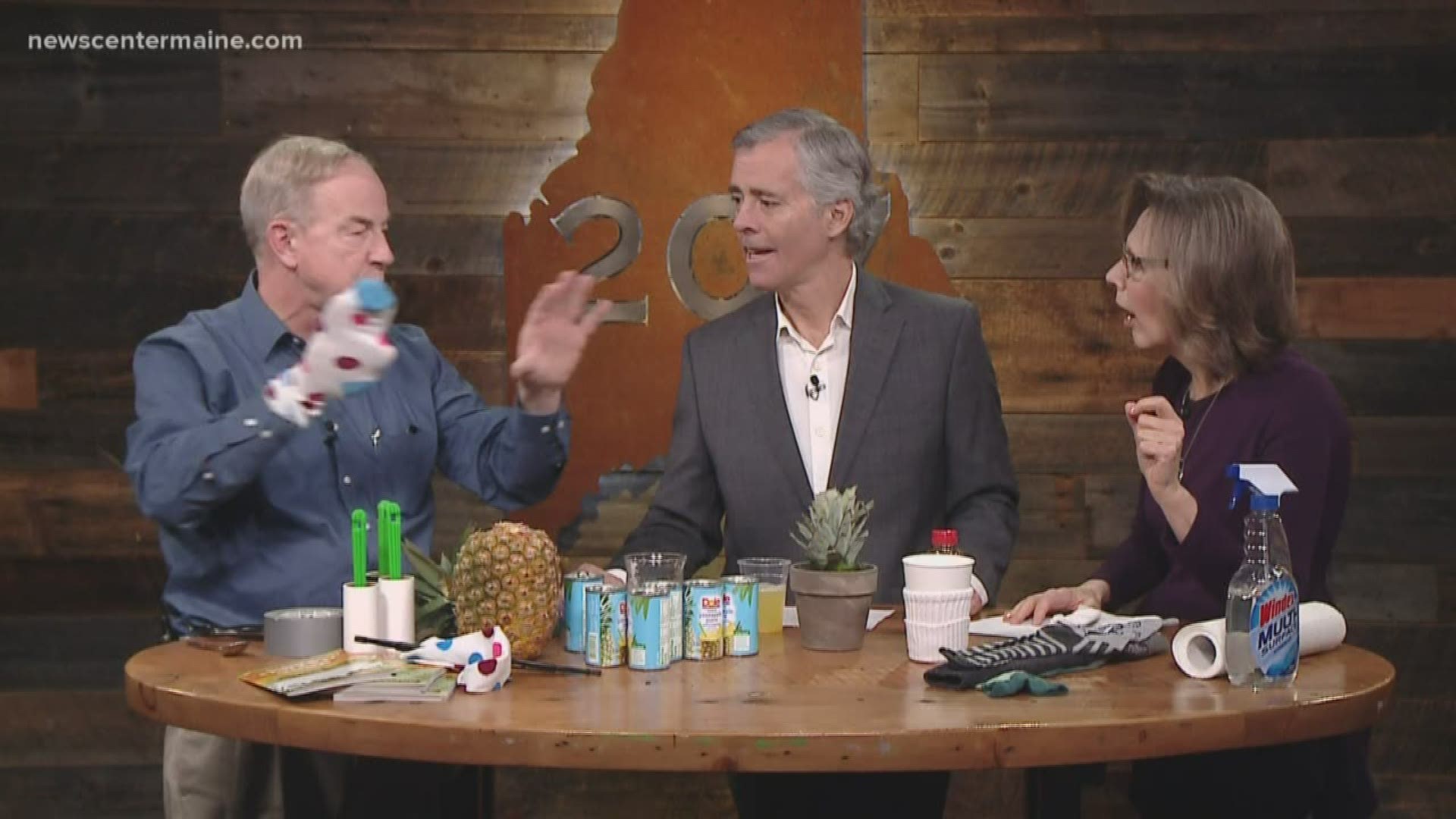 Peter Geiger from The Farmer's Almanac offers tips for using household items.