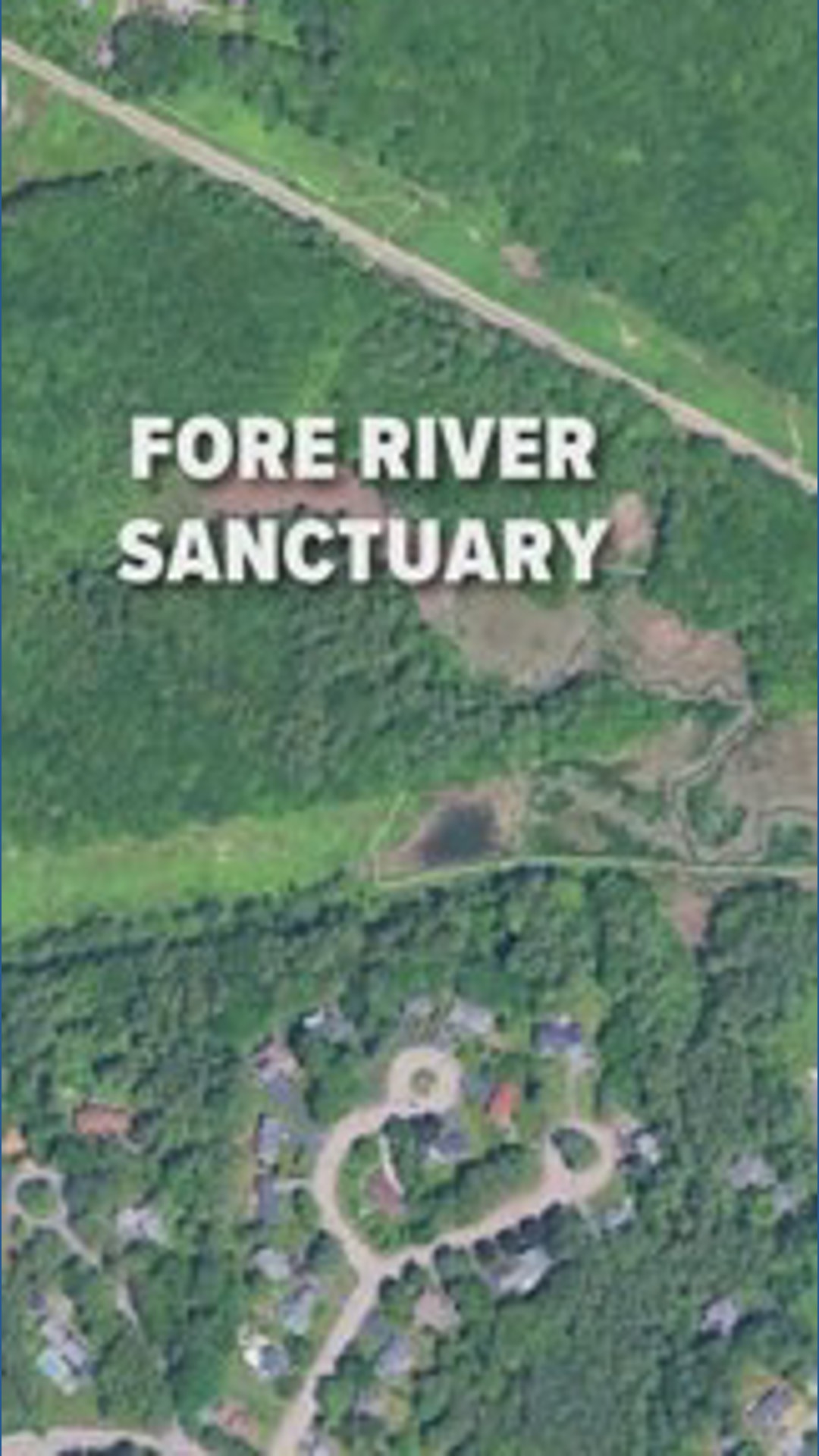 Human remains found in tent at Fore River Sanctuary in Portland ...
