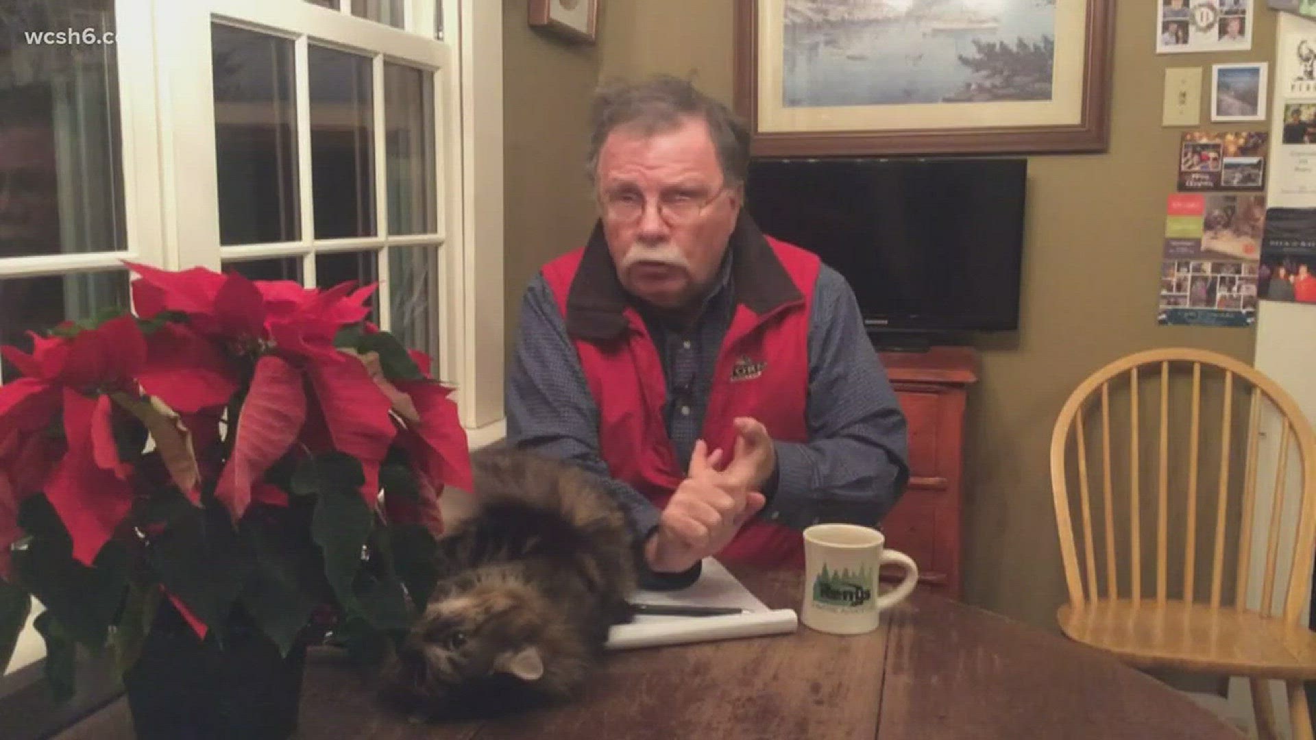 Don Carrigan Reports With Wally The Cat From Midcoast Maine