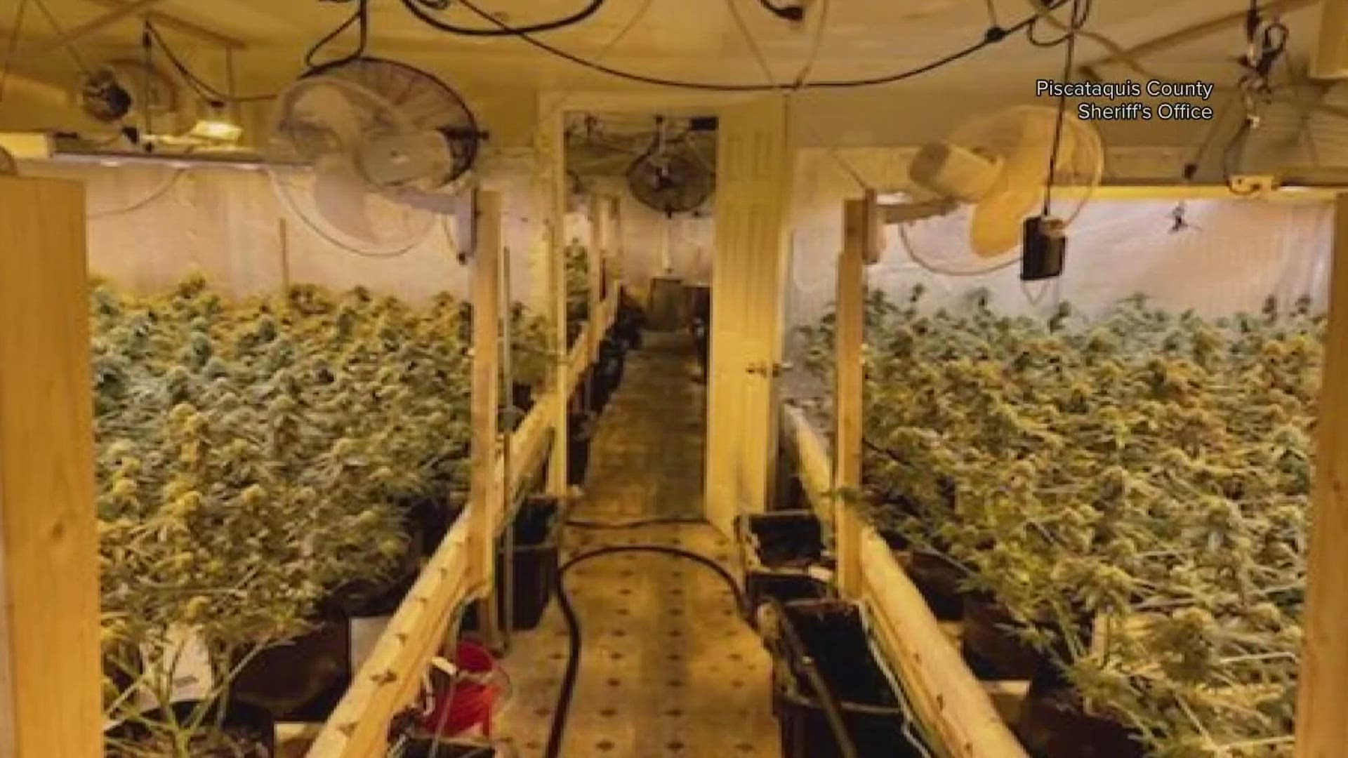 As state and federal law enforcement crack down on new grow sites, court documents reveal a grim reality behind their doors.