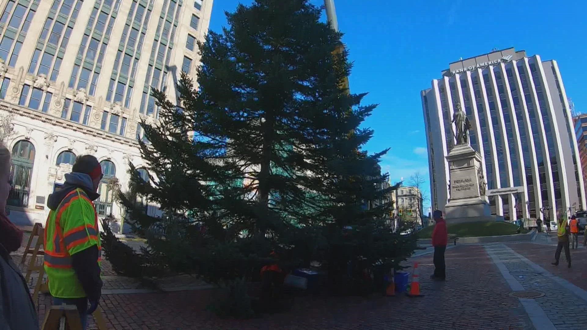 Portland's Monument Square holiday tree installed Thursday