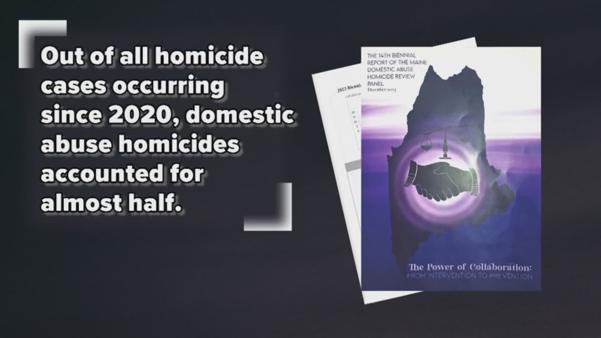 According to the report's findings, almost half of the close to 30 murders since 2020 were the result of a domestic violence situation.