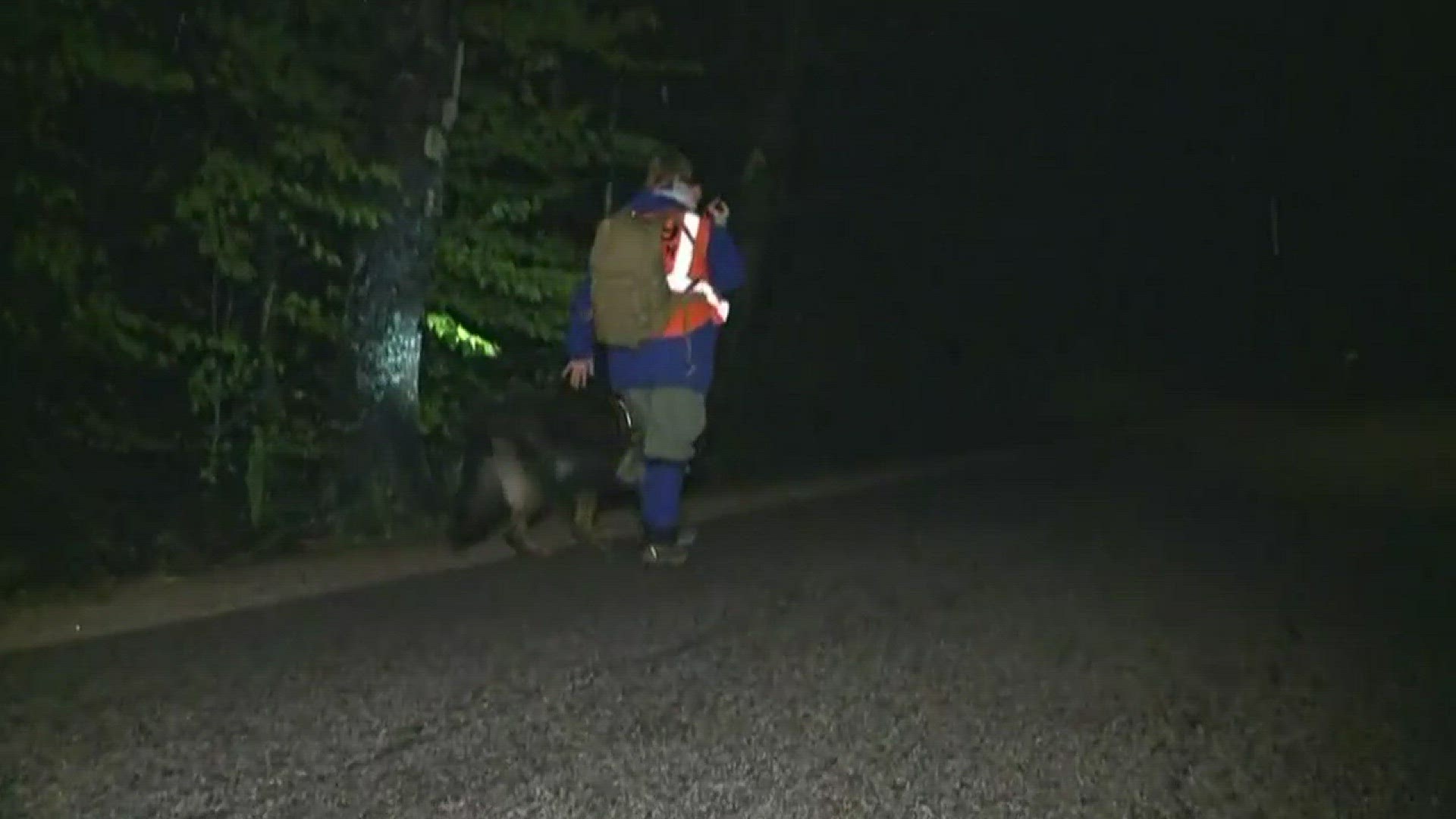 Dorothy Smail and Tala of Maine Search and Rescue Dogs searching for missing boy.