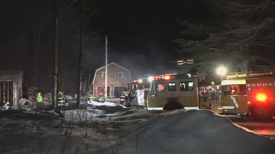 Six dogs died in a Sebec animal shelter fire | newscentermaine.com