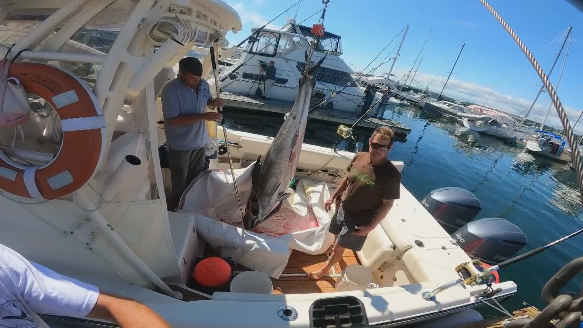 60 boats, plus a waiting list, signed up to compete for the largest catch during the weeklong celebration.