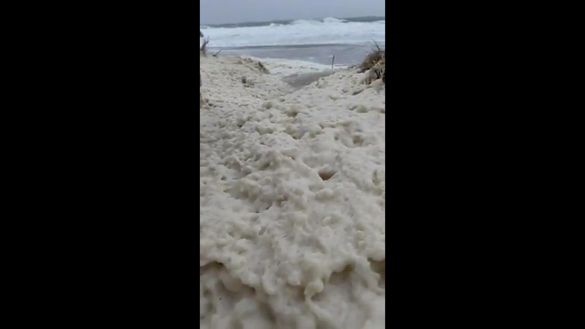 Bay Nature Magazine: How Much Sea Foam Is Normal?