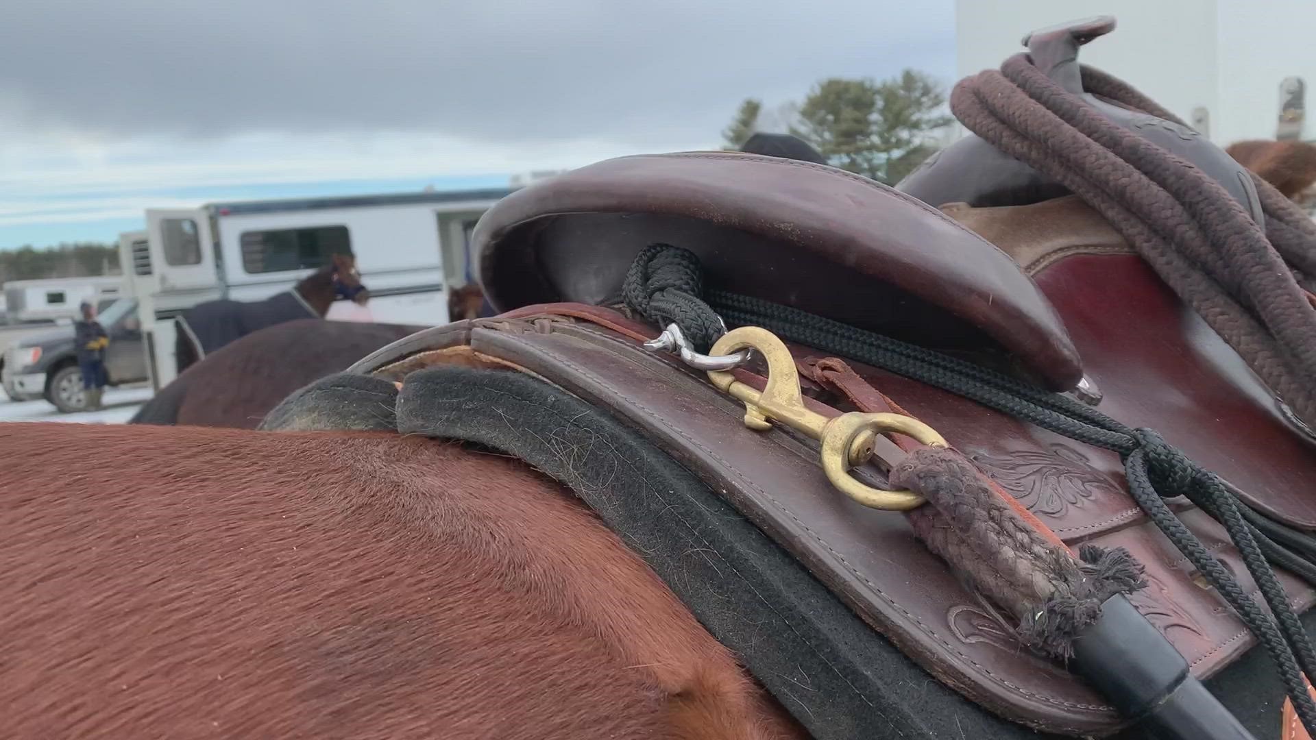 Competitor Caitlin Rice shows how the skier's rope safely connects to the horse's saddle.