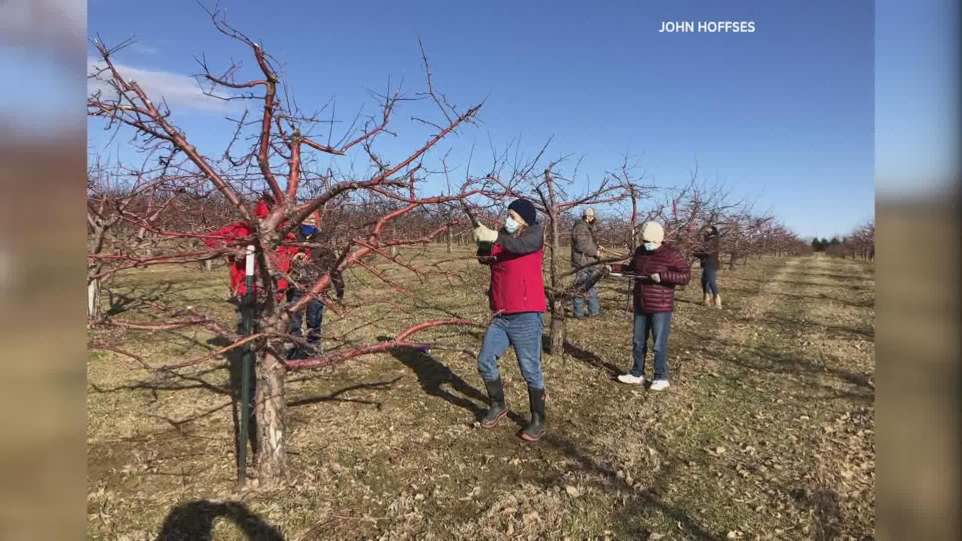 Over the years, MSAD 1 in Presque Isle has expanded its educational farm from a single greenhouse to a 38-acre farm.