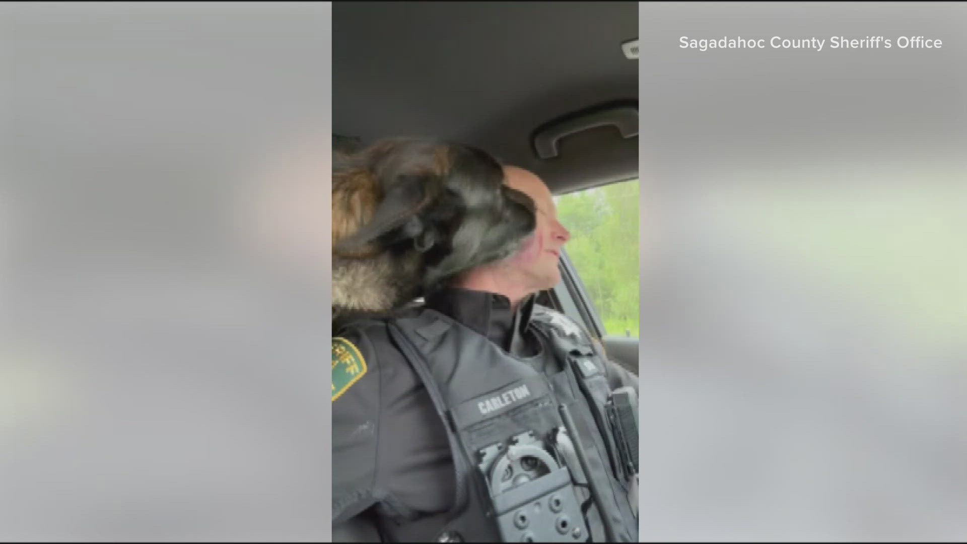 K9 Jordy helped spread the message. 