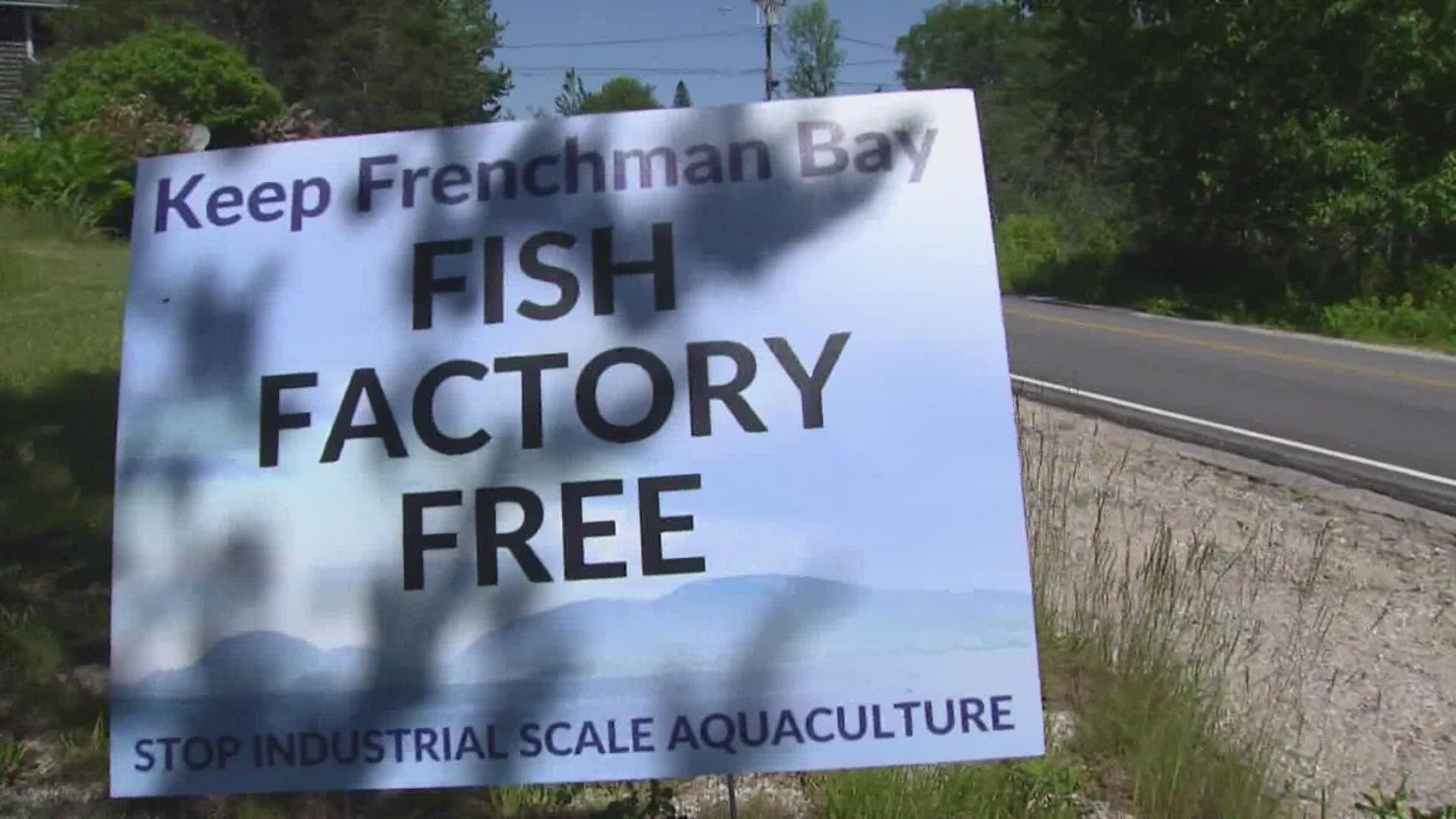 The DMR pulled American Aquafarms' permit applications because the company failed to show it could get a qualified source of fish eggs for the farm.