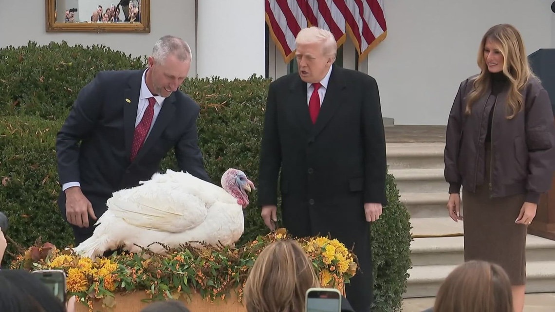 Trump to grant reprieve to 'Waddle' and 'Gobble' in pre-Thanksgiving ...