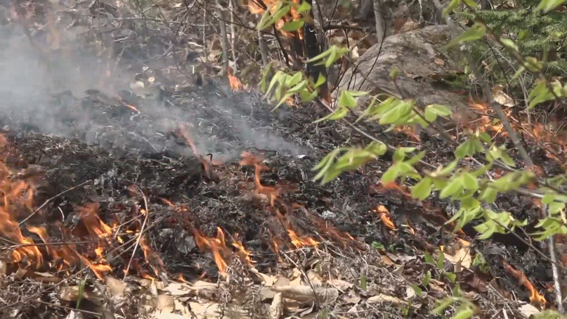 Maine Forest Service holds controlled burn in Lakeview Plantation