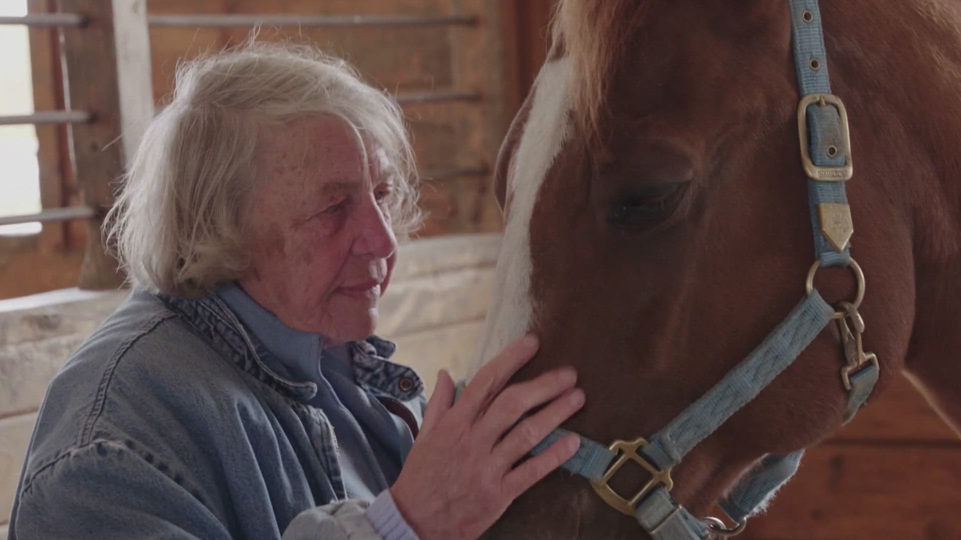 Marilyn Goodreau was heavily involved with the Maine State Society for the Protection of Animals. She died July 9, 2023, after a long illness.