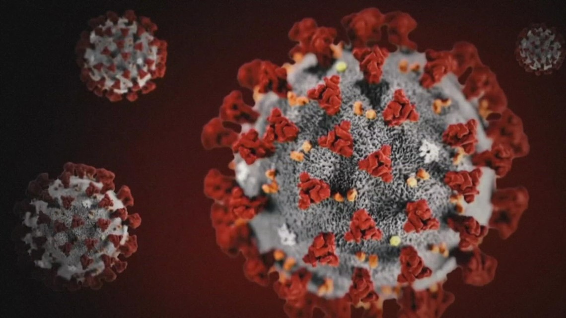 Coronavirus lab leak theory finds growing support