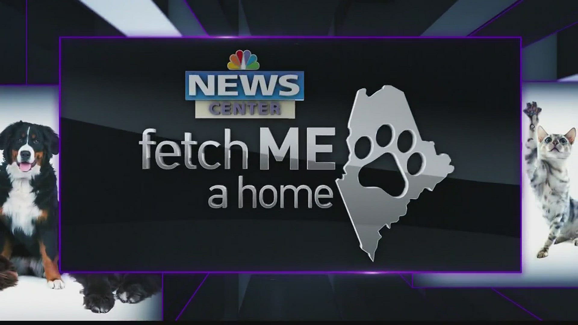 Fetch Me A Home 4/2/2017