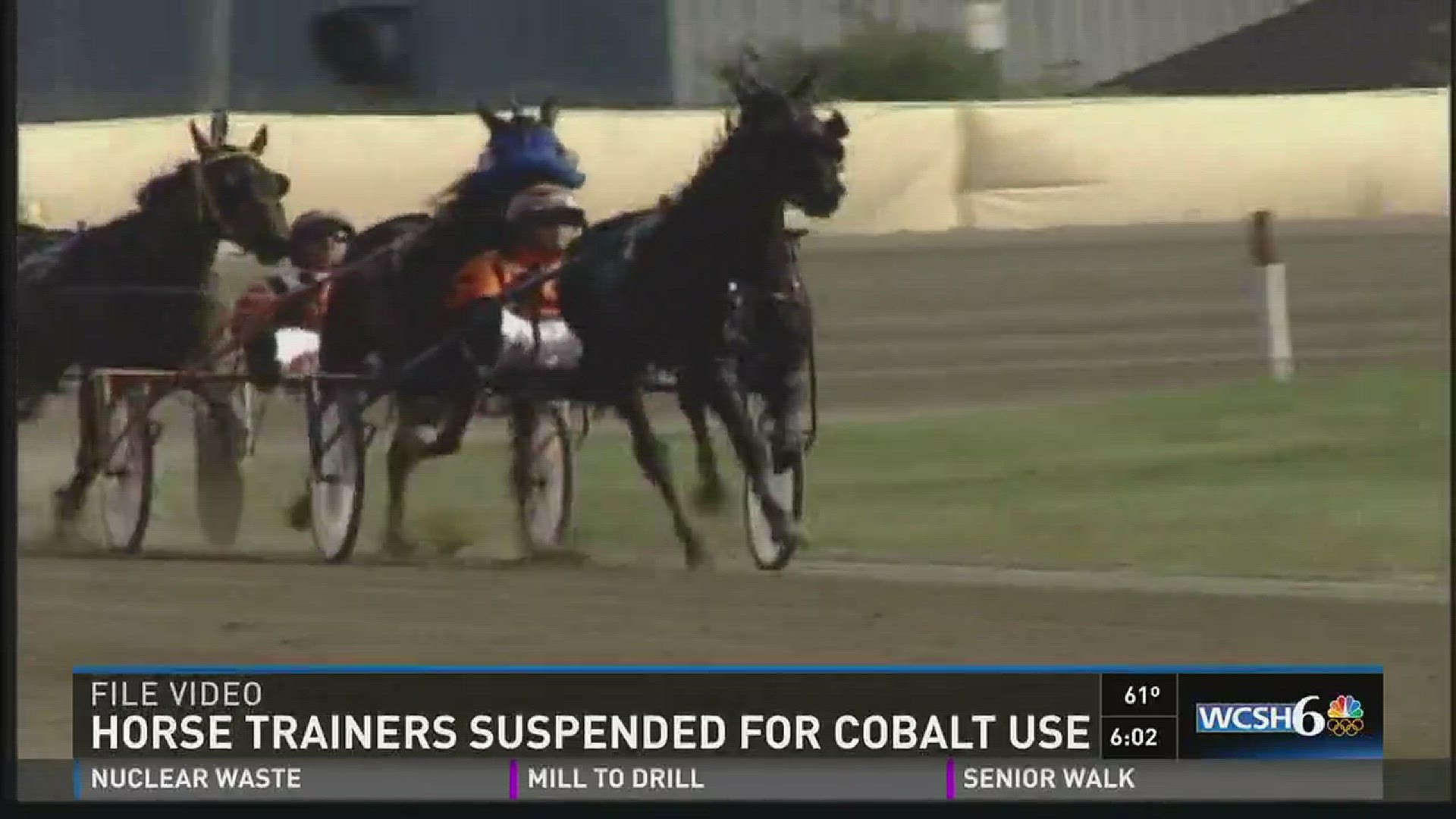 Seven Maine race horse trainers suspended and fined for banned