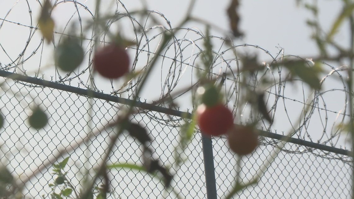 Maine State Prison: 3 staff members on administrative leave - Vimarsana News