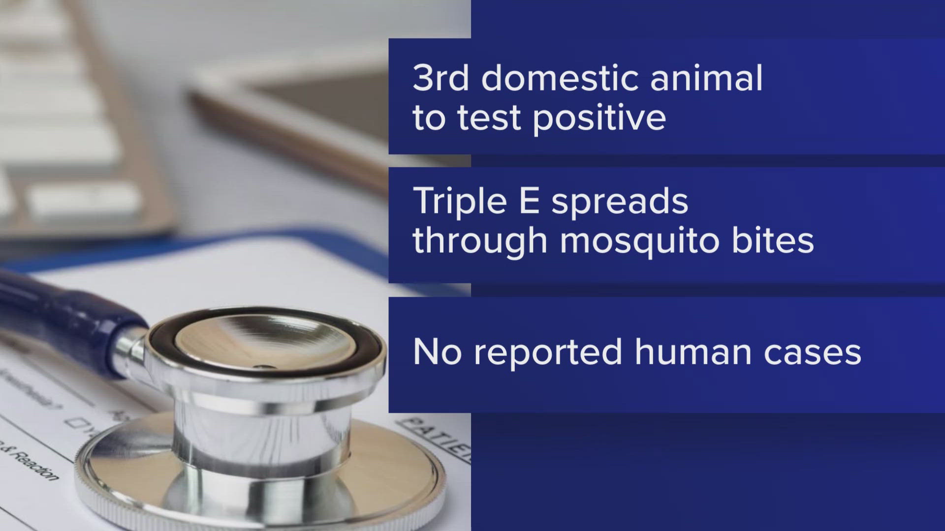 The Maine CDC said this is the third domestic animal in the state to contract the rare but deadly mosquito-borne illness.