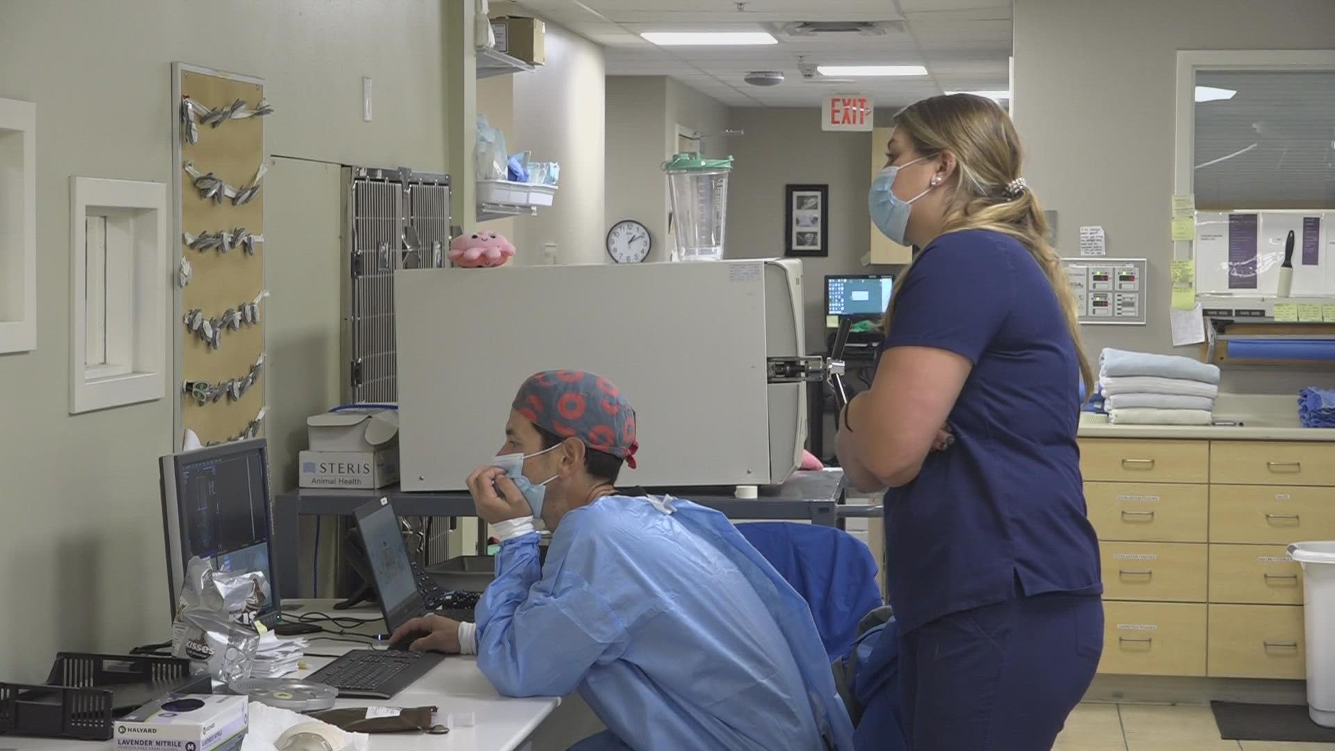 "We currently have a huge shortage of veterinarians in Maine," Dr. Casey Cole, president of the Maine Veterinary Medical Association, said.