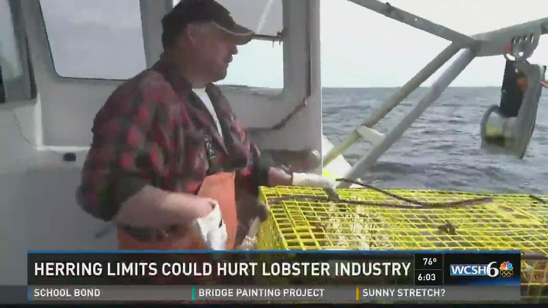 Bait shortage could impact lobster industry