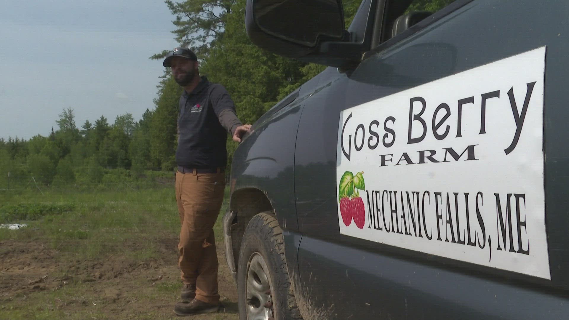 Multiple "you-pick" farms in central Maine announced closures after consistent rain-drenched young crops.