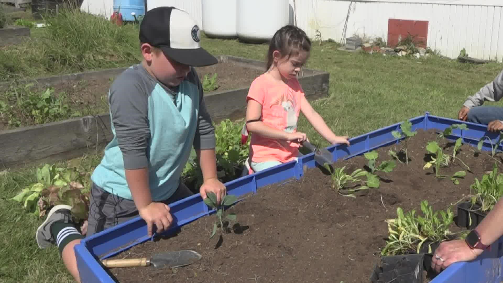 The New Hampshire-based nonprofit has already supplied seeds and education to 55 Maine schools across the state.