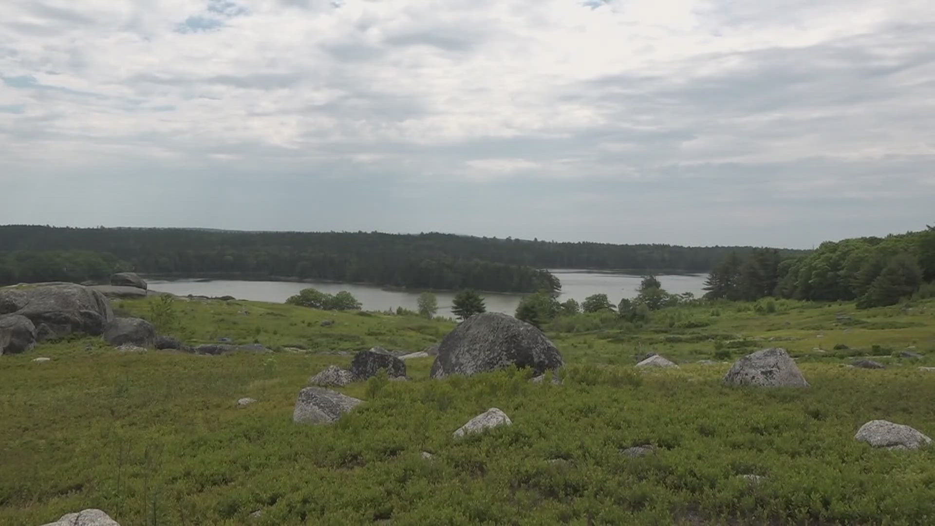 The historic Salt Pond blueberry barrens are on track for preservation after a battle against a proposed housing development.