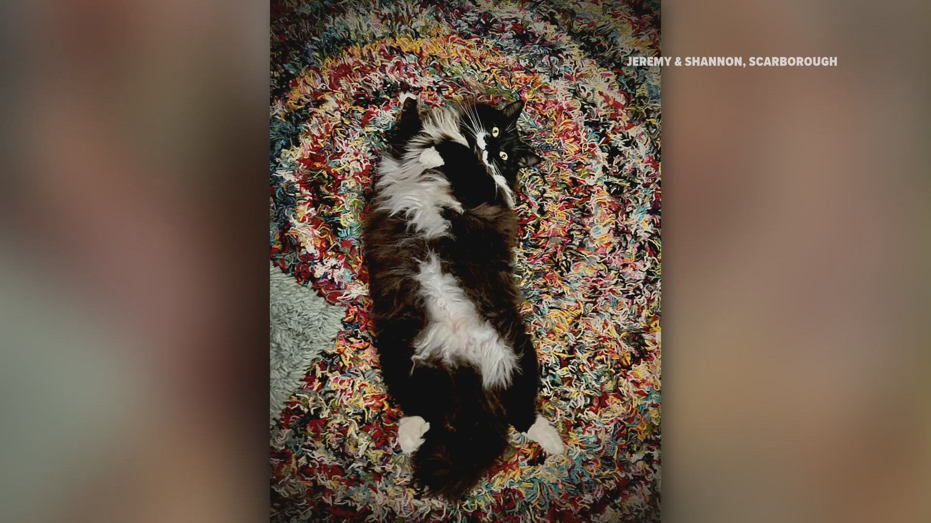 Epstein files rife with uncensored nudes and victims names, despite ...