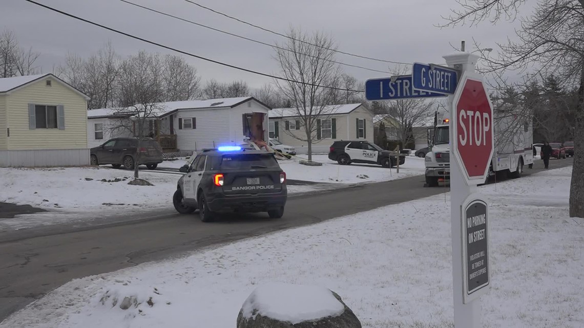 Two bodies found at Bangor home following call about 'domestic ...