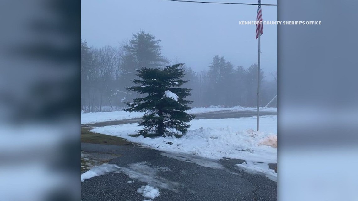 Who chopped the top off this tree outside the Vassalboro Fire