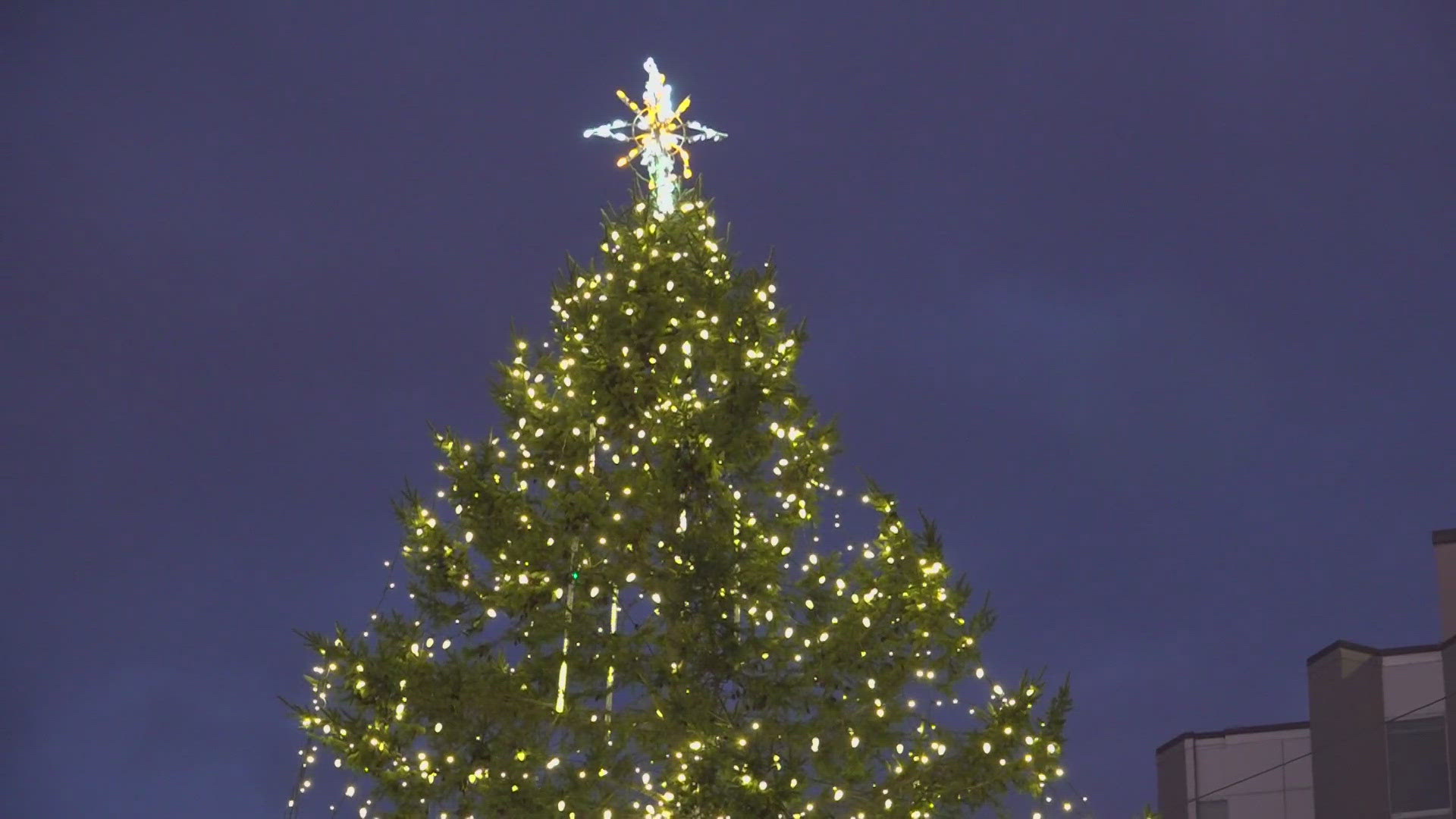 The tree itself was harvested from Hartley Street and stands at about 40 feet tall. The tree lighting itself was only one of many events planned Friday.