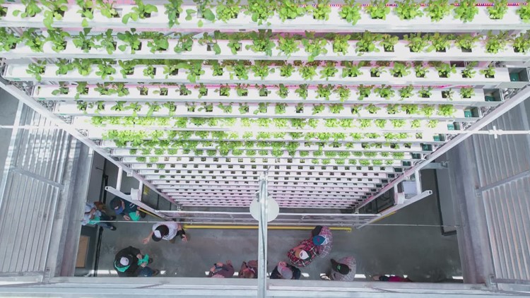 Vertical greenhouse to grow 2M pounds of produce in Maine