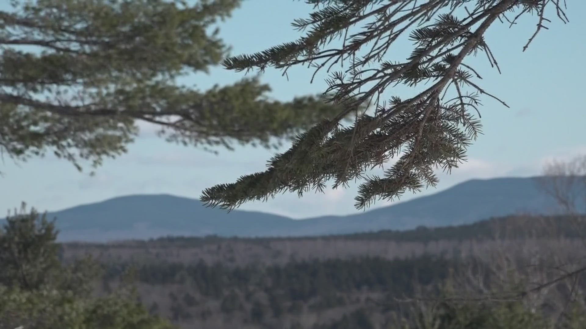The land runs across Scammon Ridge, which separates the Kennebec and Penobscot River watersheds in Piscataquis County, now forever open to the public for recreation.