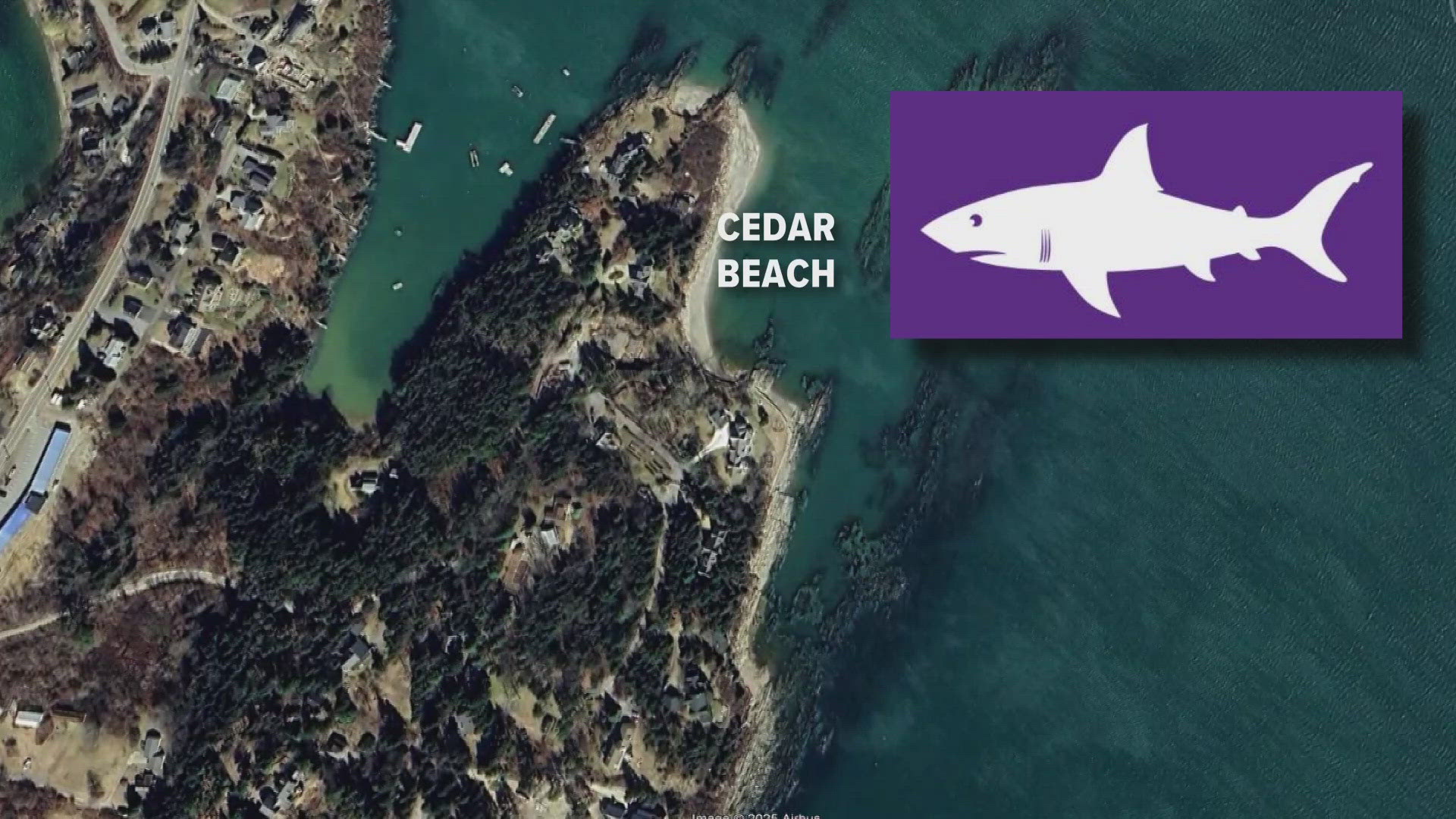 Shark notification flags are displayed on Cedar Beach.