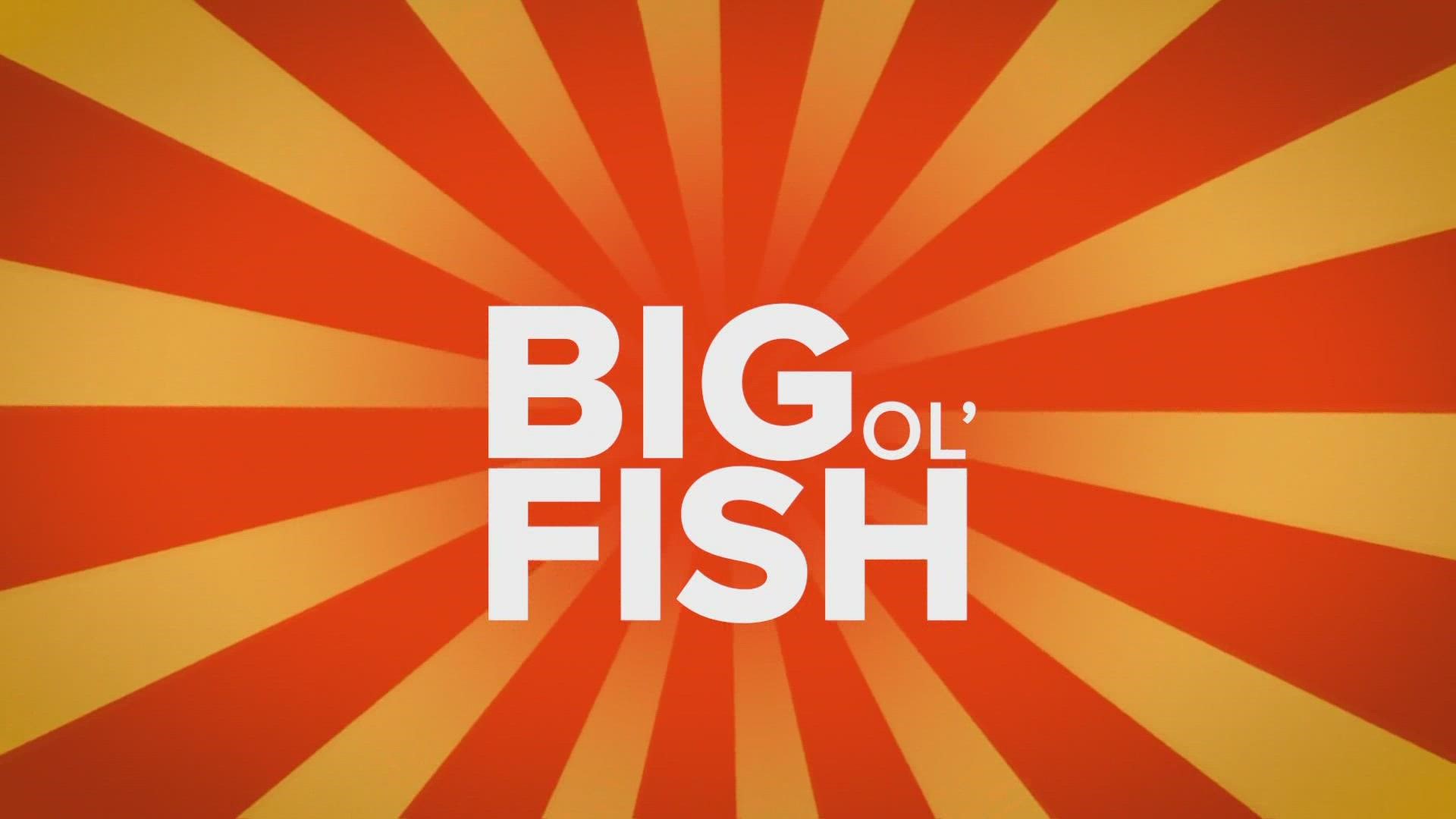 Big Ol' Fish on Saturday, Jan. 7